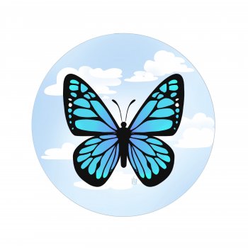 Elmarie Butterflies