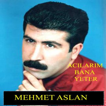 Mehmet Aslan Ne Deyim