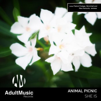 Animal Picnic She Is - Patrick Podage Remix
