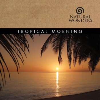 David Arkenstone Tropical Morning
