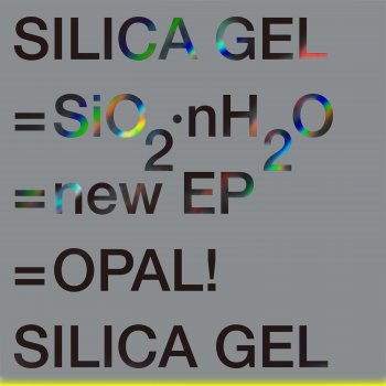 Silica Gel feat. DJ Soulscape NEO SOUL - DJ Soulscape Remix Version