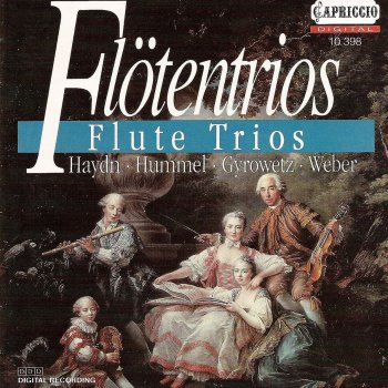 Carl Maria von Weber, Eckart Haupt, Götz Teutsch & Arkadi Zenziper Flute Trio, Op. 63, J. 259: I. Allegro moderato