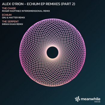 Alex O'rion The Chase (Roger Martinez Interdimensional Remix)