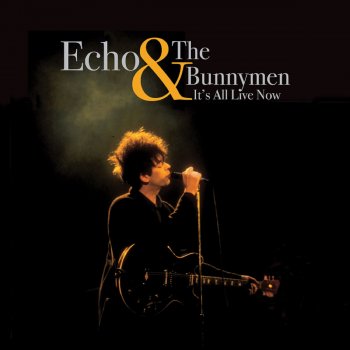 Echo & The Bunnymen Run, Run, Run (Live, 1985)