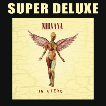 Nirvana The Man Who Sold The World - Live & Loud