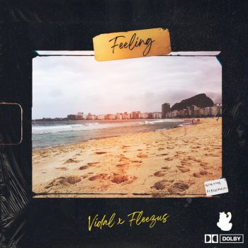 Vidal feat. Fleezus Feeling