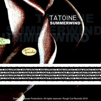 Tatoine feat. Loophole Summerwind - Loophole Remix