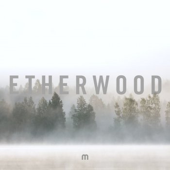 Etherwood You're Missing Life