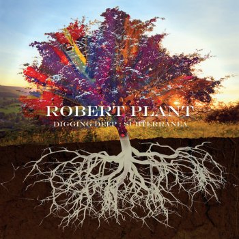Robert Plant Hurting Kind (I've Got My Eyes on You) - 2006 Remaster
