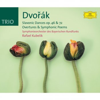 Symphonieorchester des Bayerischen Rundfunks & Rafael Kubelík 8 Slavonic Dances, Op. 72: No. 1 in B Major (Molto vivace)