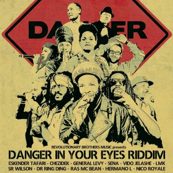 Revolutionary Brothers feat. Far East Band Danger in Your Eyes - Instrumental