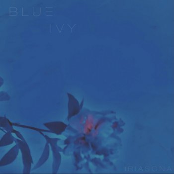 Iriasona Blue Ivy