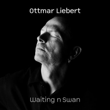 Ottmar Liebert Jamming