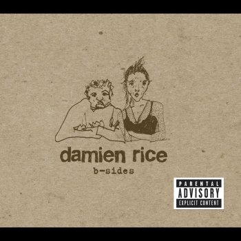 Damien Rice Delicate (Live In Dublin)