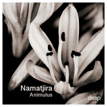 Namatjira Animulus