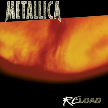 Metallica The Memory Remains