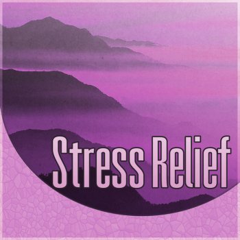 Anti Stress Music Zone Healing Massage