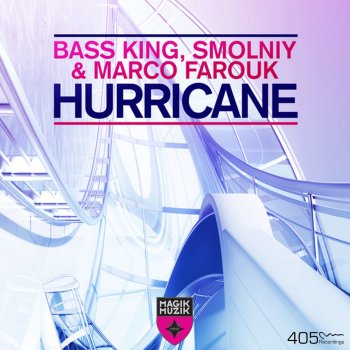 Bass King feat. SMOLNIY & marco farouk Hurricane - Radio Edit