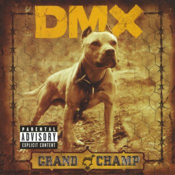 DMX Where the Hood At
