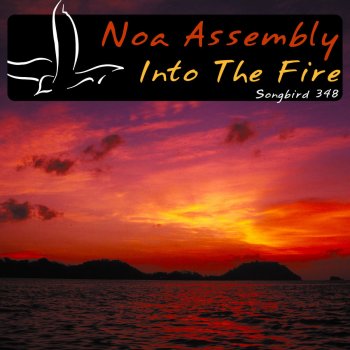 Noa Assembly Into the Fire