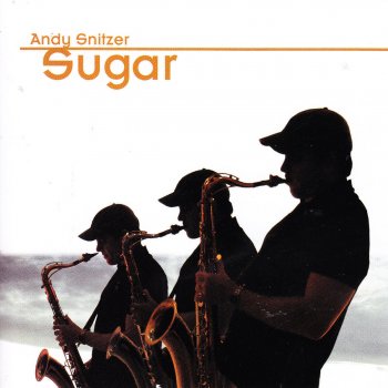 Andy Snitzer Sugar