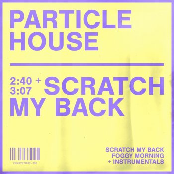 Particle House Scratch My Back (feat. Divty)