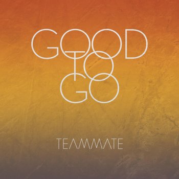 Team​Mate Good To Go
