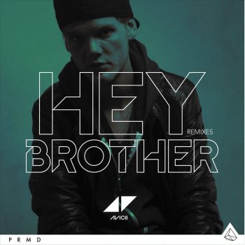 Avicii Hey Brother - Extended Version