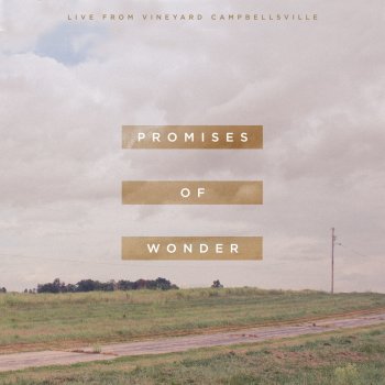 Vineyard Worship Promises of Wonder (Live) [feat. Ryan Delmore & Hannah Daugherty]