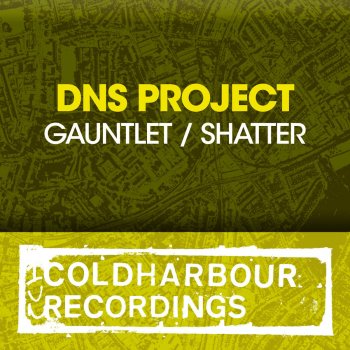 DNS Project Shatter - Radio Edit