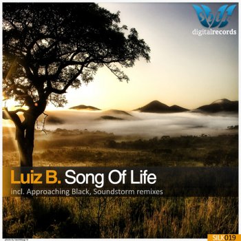 Luiz B Song of Life (Approaching Black Remix)