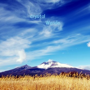 Wenda crystal