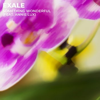 Exale Something Wonderful (feat. Annie Lux)