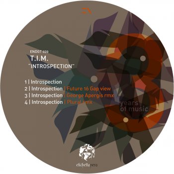 T.I.M. Introspection (Plural Remix)