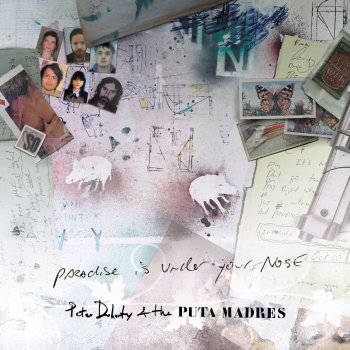 Peter Doherty & The Puta Madres Paradise Is Under Your Nose (Radio Edit)