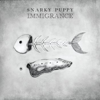 Snarky Puppy Even Us