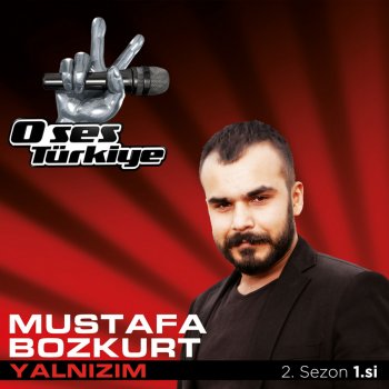 Mustafa Bozkurt Yalnızım