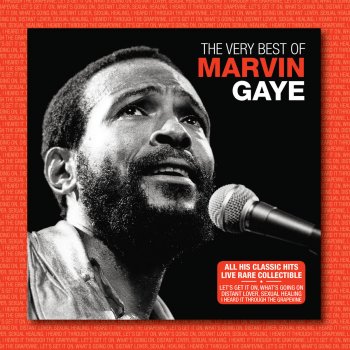 Marvin Gaye Sexual Healing (Live)