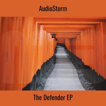 AudioStorm Fields (Radio Edit)
