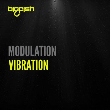 Modulation Vibration