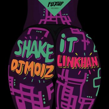DJ Moiz feat. Linkhan Shake It