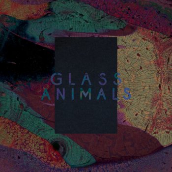 Glass Animals Black Mambo - Zodiac Remix