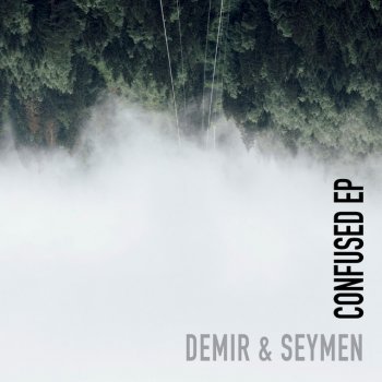 Demir & Seymen Pulse