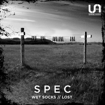 Spec Wet Socks
