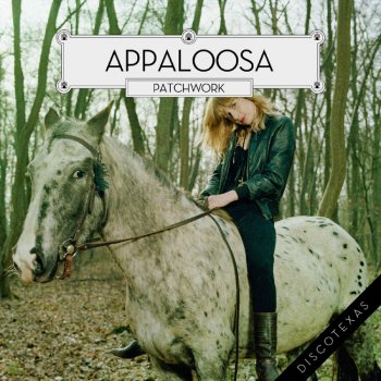 Appaloosa Patchwork - Original