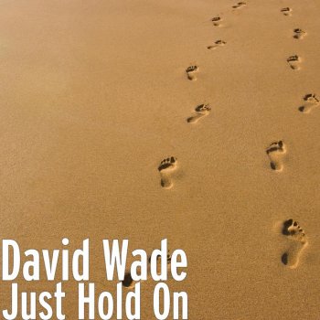 David Wade Just Hold On