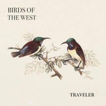 Birds Of The West Traveler