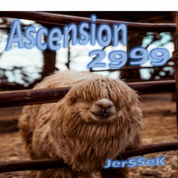 JerSSeK Ascension 2999