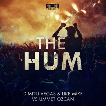 Dimitri Vegas & Like Mike feat. Ummet Ozcan The Hum(Lost Frequencies Short Remix)