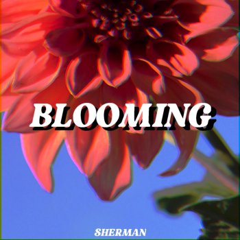 Sherman Blooming